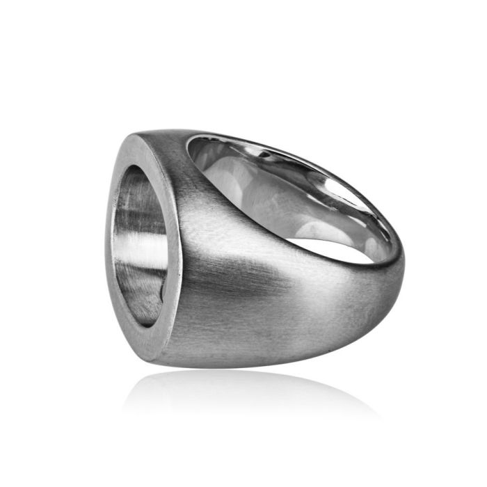 TATIC RSS-7401 Men's Steel Seal Ring in Steel